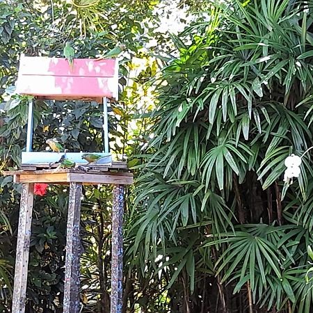 Familia Silvia Perico Villa Ilhabela Eksteriør bilde