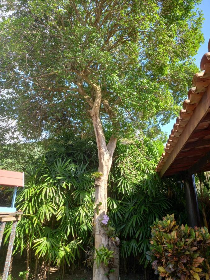 Familia Silvia Perico Villa Ilhabela Eksteriør bilde